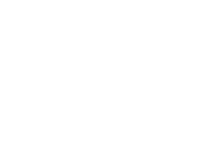 avia-gis logo